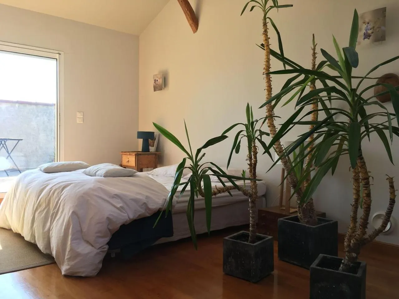 Appartement d'Hôtes Temps de Pause Lautrec 0*,  France